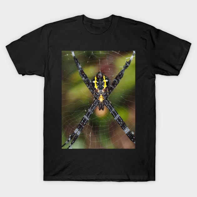 Female Hawaiian garden spider Argiope appensa T-Shirt by SDym Photography